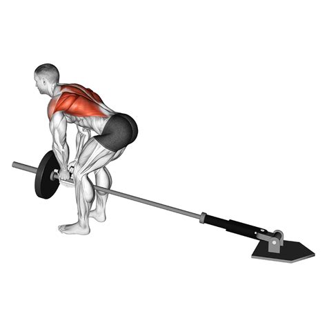 The T-Bar Row is an exercise that targets the upper back, neck, and rear shoulder. It’s similar to the barbell row, where you bend over and lift the weight upward. The biggest difference between the T-Bar Row and the classic barbell row is the grip. In the T-Bar Row, you typically use a narrow neutral grip, which places more emphasis on your lat muscles …